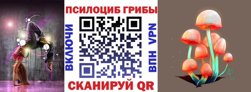 Псилоцибиновые грибы Psilocybe  darknet телеграм  Белебей 